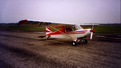 tetra